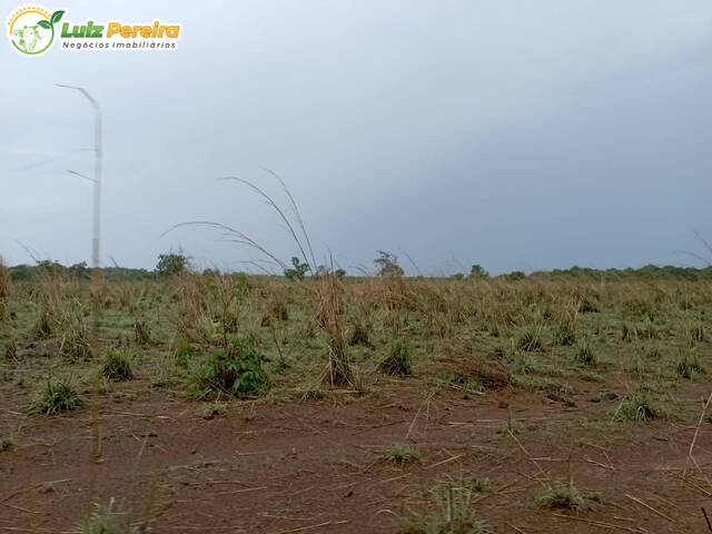 #2997 - Fazenda para Venda em Dois Irmãos do Tocantins - TO - 2