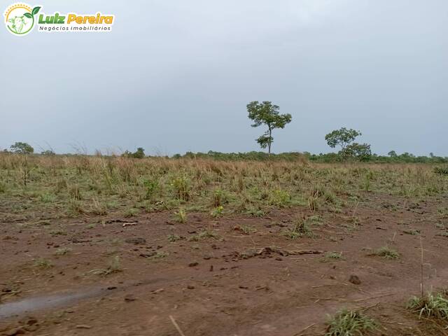 #2997 - Fazenda para Venda em Dois Irmãos do Tocantins - TO - 3