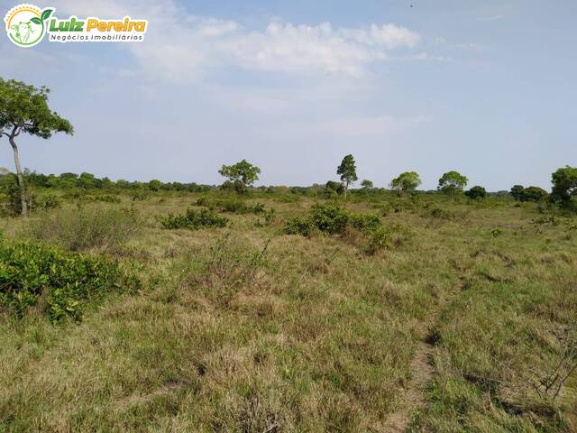 #2998 - Fazenda para Venda em Abreulândia - TO - 3