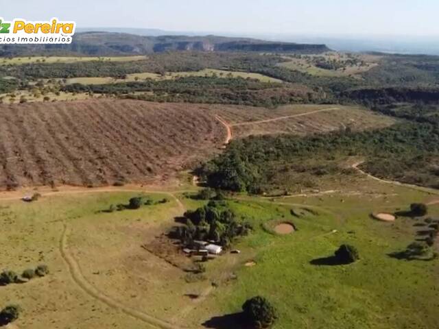 #2999 - Fazenda para Venda em São Gabriel do Oeste - MS - 2