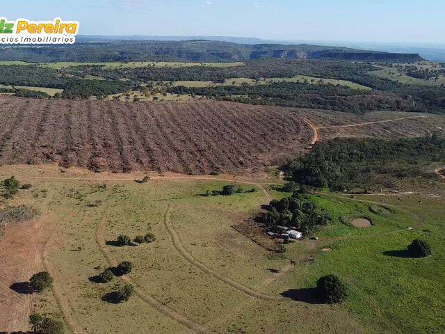 #2999 - Fazenda para Venda em São Gabriel do Oeste - MS - 1