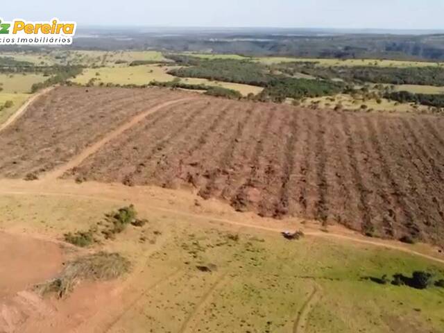 #2999 - Fazenda para Venda em São Gabriel do Oeste - MS - 3