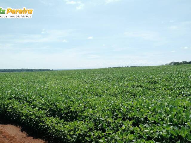 #3000 - Fazenda para Venda em Portel - PA - 3