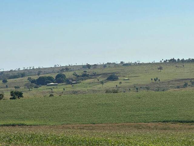 Fazenda para Venda em Sidrolândia - 5