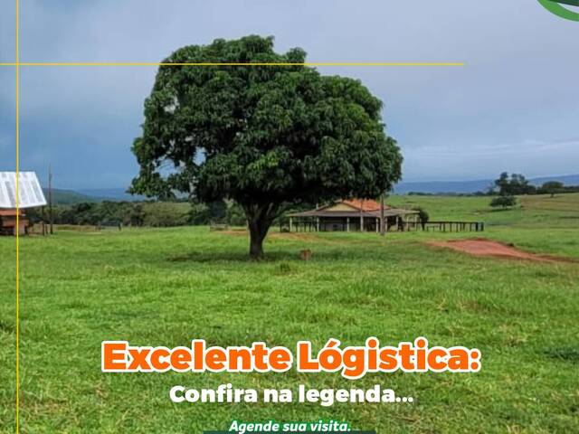Fazenda para Venda em Campina Verde - 4