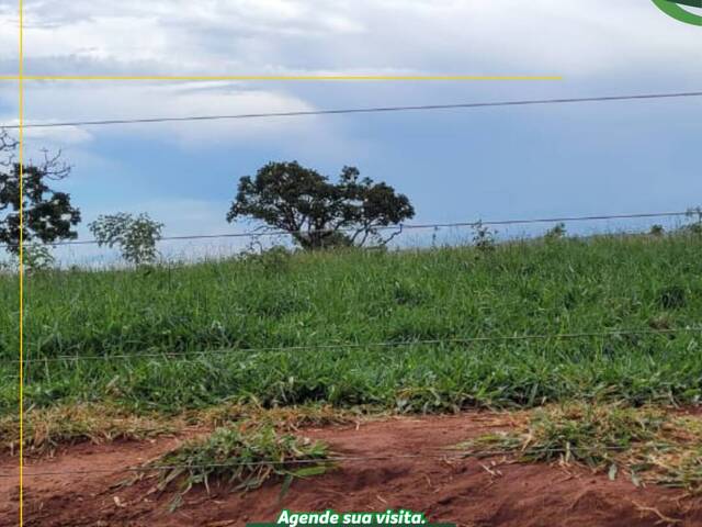 Fazenda para Venda em Campina Verde - 5
