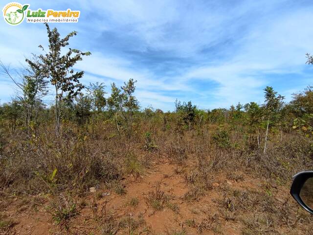 Fazenda para Venda em Abreulândia - 5