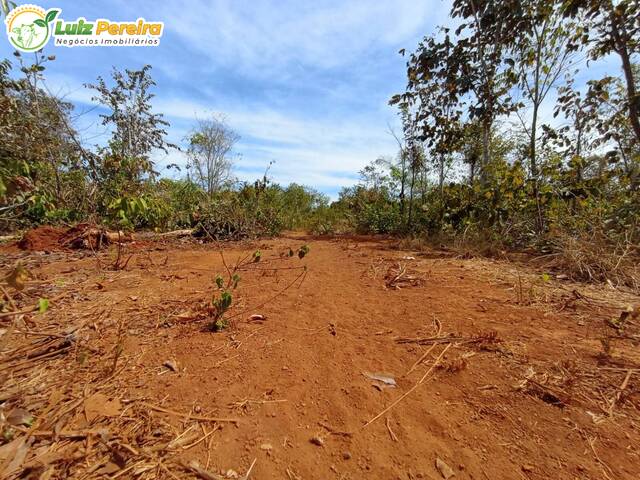 #3005 - Fazenda para Venda em Abreulândia - TO