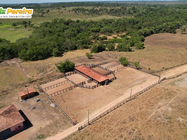 Fazenda para Venda em Marabá - 5