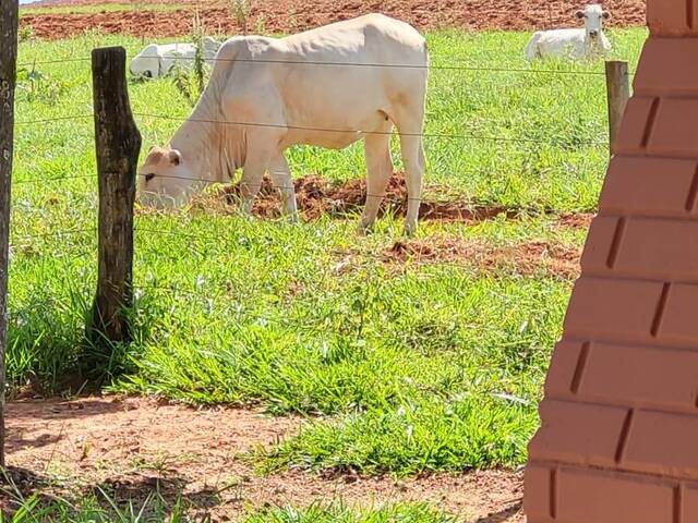 Fazenda para Venda em Campina Verde - 4
