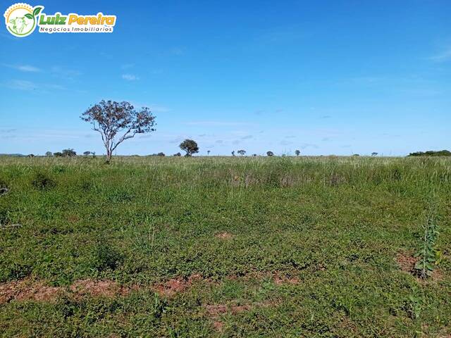 Fazenda para Venda em Campina Verde - 4