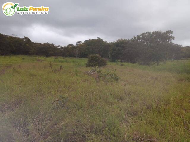 Fazenda para Venda em Campina Verde - 5