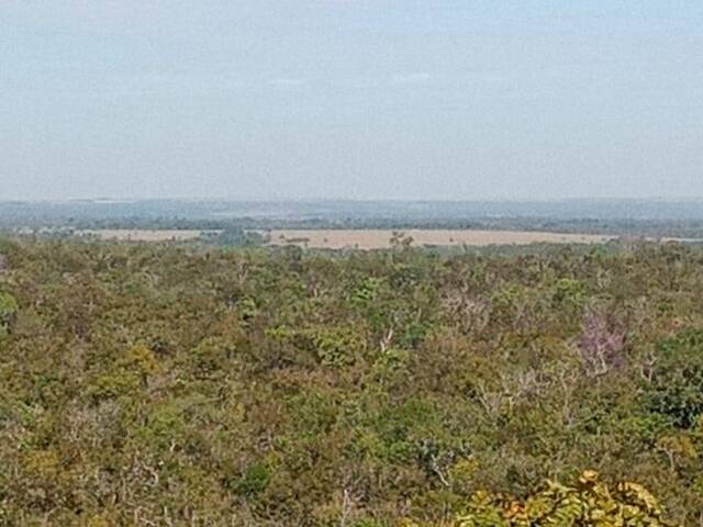 Fazenda para Venda em Rio dos Bois - 5