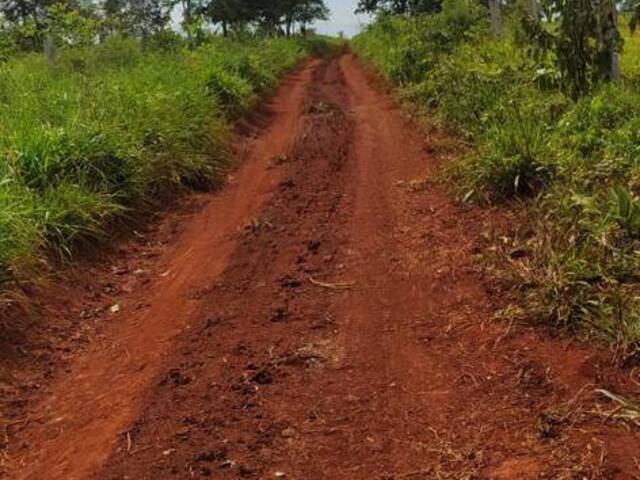 Fazenda para Venda em Lajeado Novo - 5