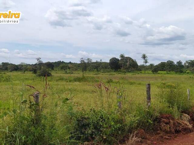 Fazenda para Venda em Lajeado Novo - 4