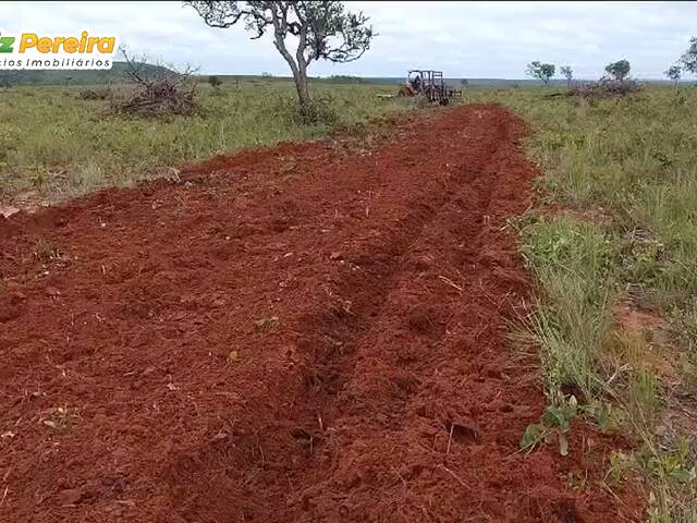 Chácara para Venda em Ponte Alta do Tocantins - 5
