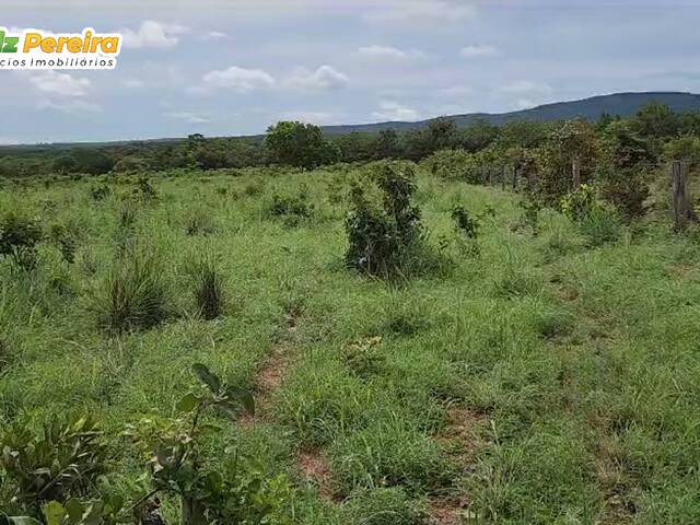 Chácara para Venda em Peixe - 4