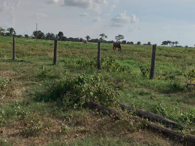 Fazenda para Venda em Araguatins - 4