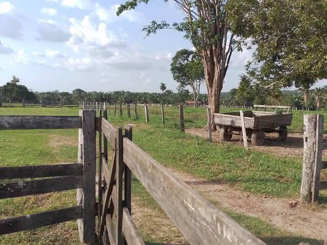 Fazenda para Venda em Araguatins - 5