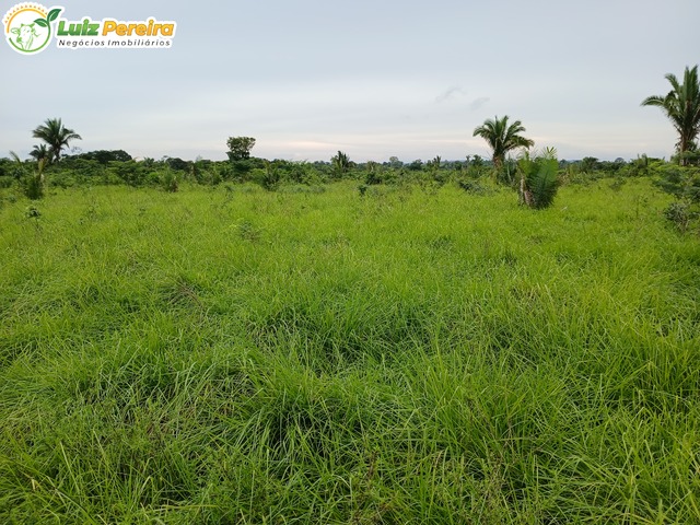 Fazenda para Venda em Santa Fé do Araguaia - 4