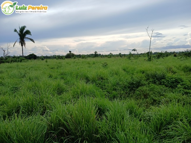 Fazenda para Venda em Santa Fé do Araguaia - 5