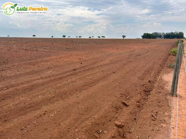 Fazenda para Venda em São Desidério - 4