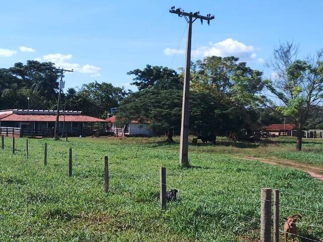 #3020 - Fazenda para Venda em Cassilândia - MS - 3