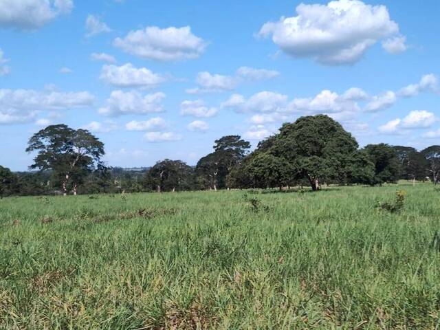 Fazenda para Venda em Cassilândia - 5