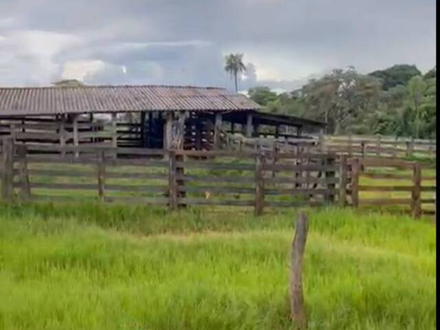 Fazenda para Venda em Carneirinho - 5