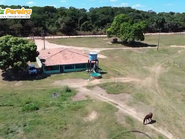 Fazenda para Venda em Barra do Corda - 3