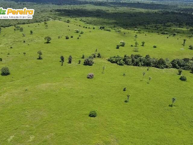 Fazenda para Venda em Ananás - 4