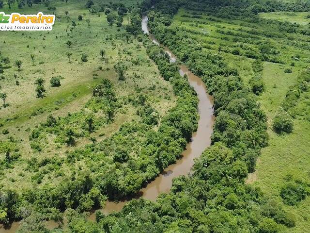 Fazenda para Venda em Ananás - 5