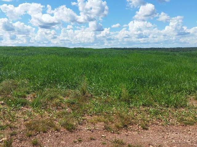 Fazenda para Venda em São Valério da Natividade - 5