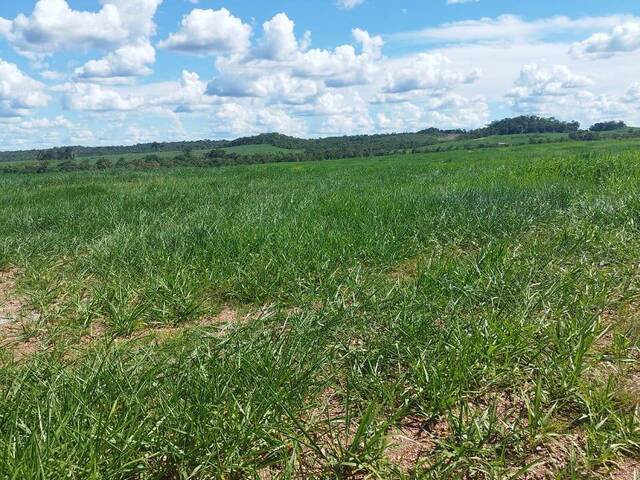 Fazenda para Venda em São Valério da Natividade - 4