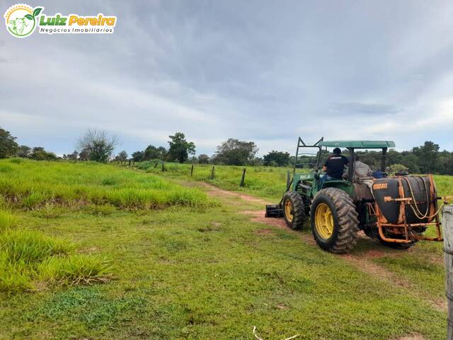 Fazenda para Venda em Araguaína - 4