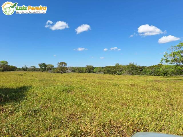 #3024 - Fazenda para Venda em Araguaína - TO