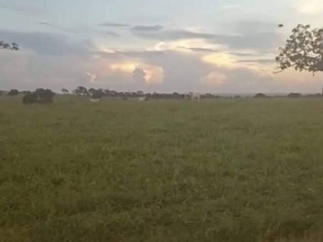 Fazenda para Venda em Campina Verde - 5