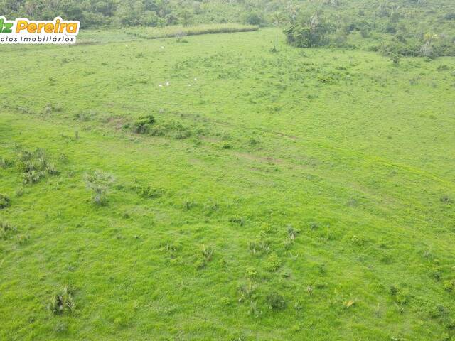 Fazenda para Venda em Araguaína - 4