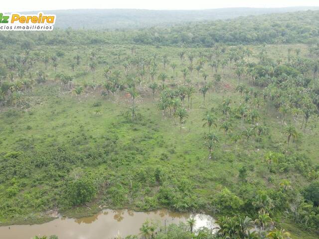 Fazenda para Venda em Araguaína - 5