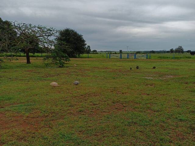 #3027 - Fazenda para Venda em Floresta do Araguaia - PA - 3