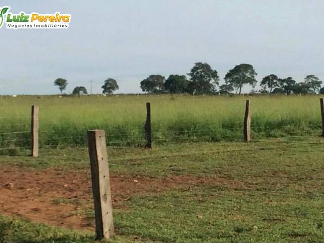 Fazenda para Venda em Cachoeira Alta - 5