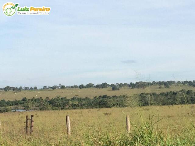 Fazenda para Venda em Cachoeira Alta - 4