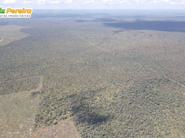 Fazenda para Venda em Fernando Falcão - 5