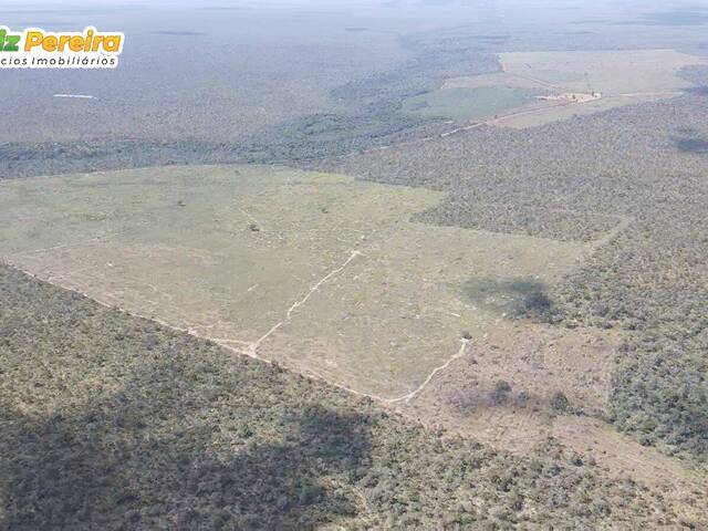 Fazenda para Venda em Fernando Falcão - 4
