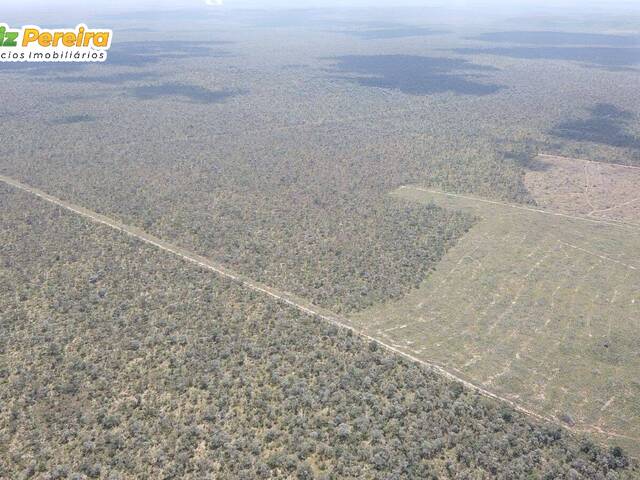 #3029 - Fazenda para Venda em Fernando Falcão - MA