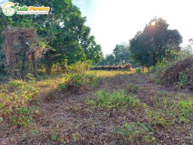 #3031 - Fazenda para Venda em Araguaína - TO