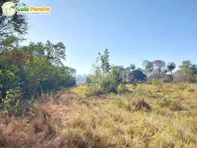 #3031 - Fazenda para Venda em Araguaína - TO - 2