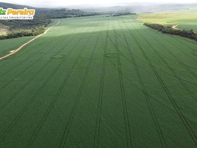 #3032 - Fazenda para Venda em Portel - PA - 2