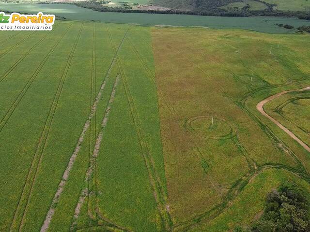 #3032 - Fazenda para Venda em Portel - PA - 1