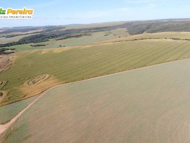 #3032 - Fazenda para Venda em Portel - PA - 3